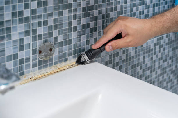 Home Mold Removal in Kings Point, NY